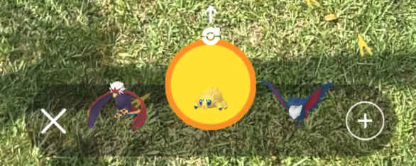 take a picture of your own pokemon