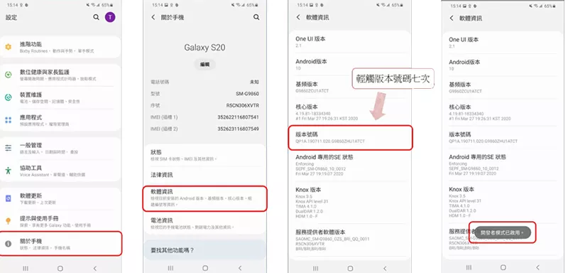 enable developer mode